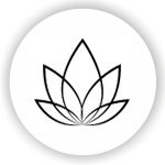 Программы оздоровления